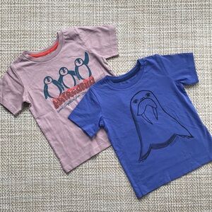 Patagonia Organic Tees (size 2T)
